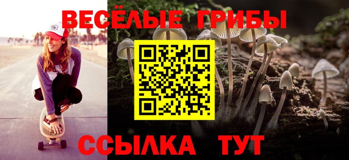 Галлюциногенные грибы мицелий  Вход с VPN  Псилоцибиновые грибы ЛСД  Владимир 