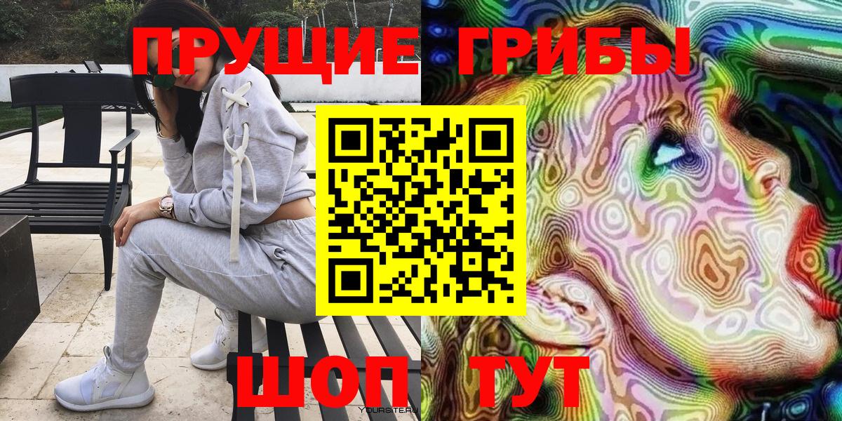 Псилоцибиновые грибы Psilocybine cubensis Владимир